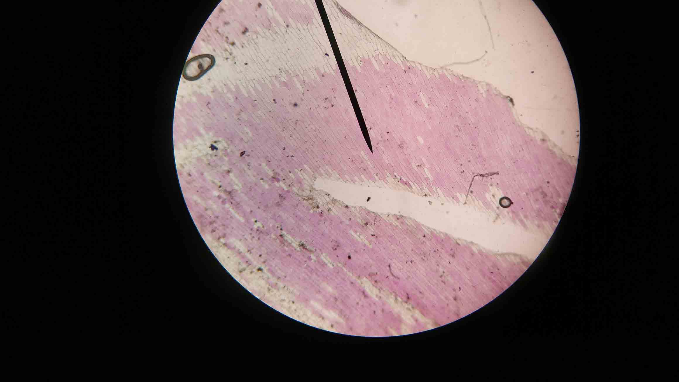 IMG_20180420_142512_1