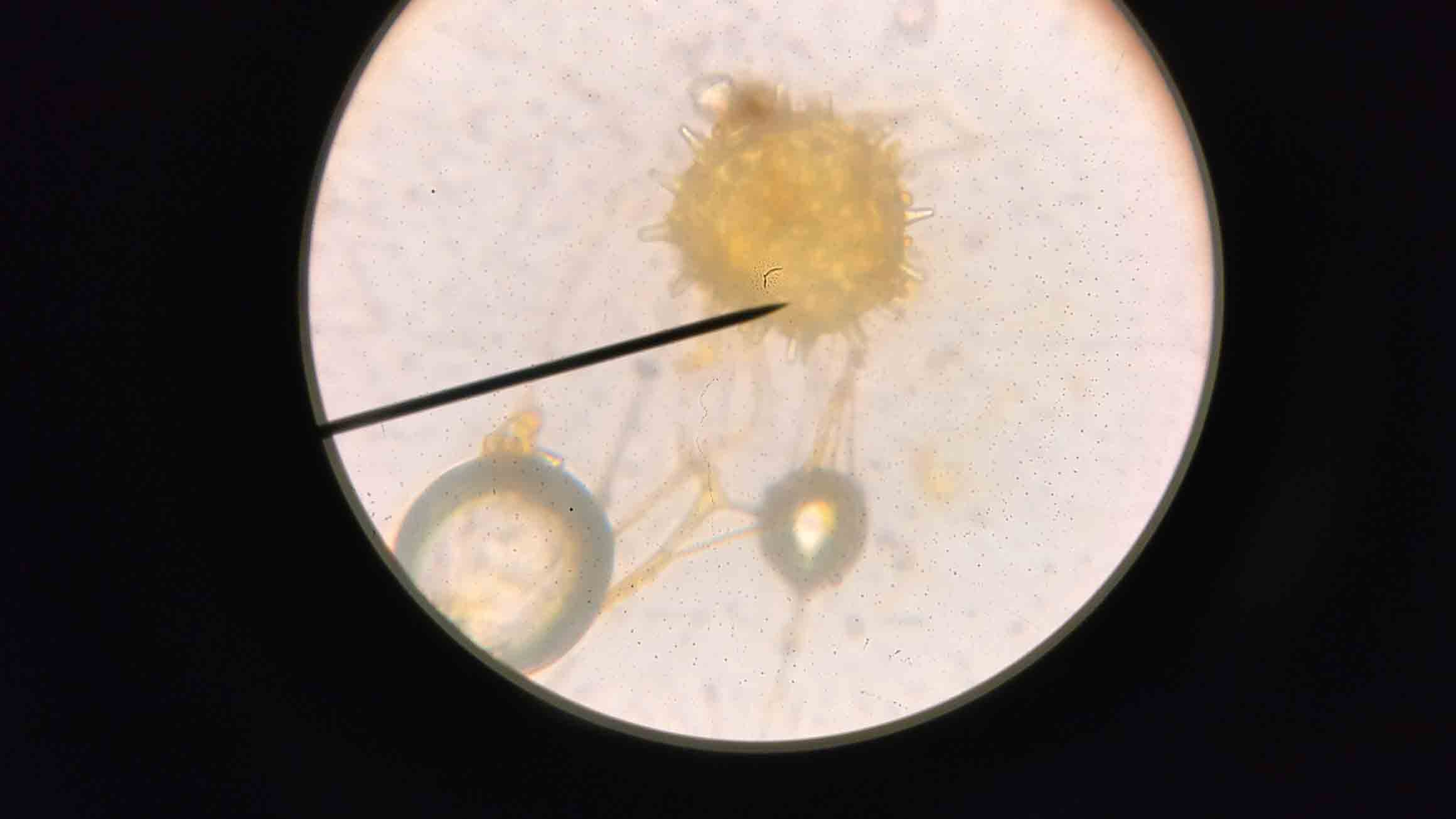 IMG_20180420_144759_1