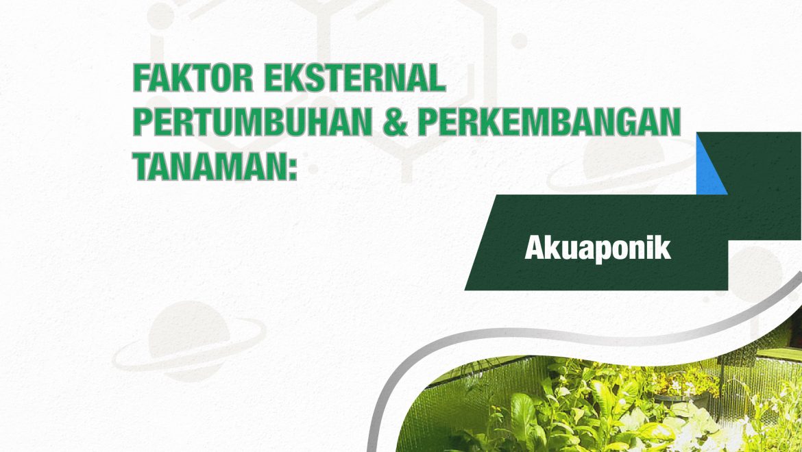 Faktor Eksternal Pertumbuhan & Perkembangan Tanaman: Akuaponik
