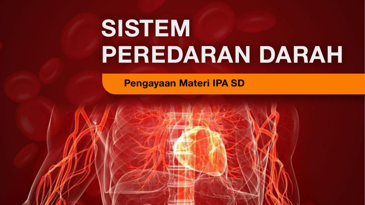 Sistem Peredaran Darah