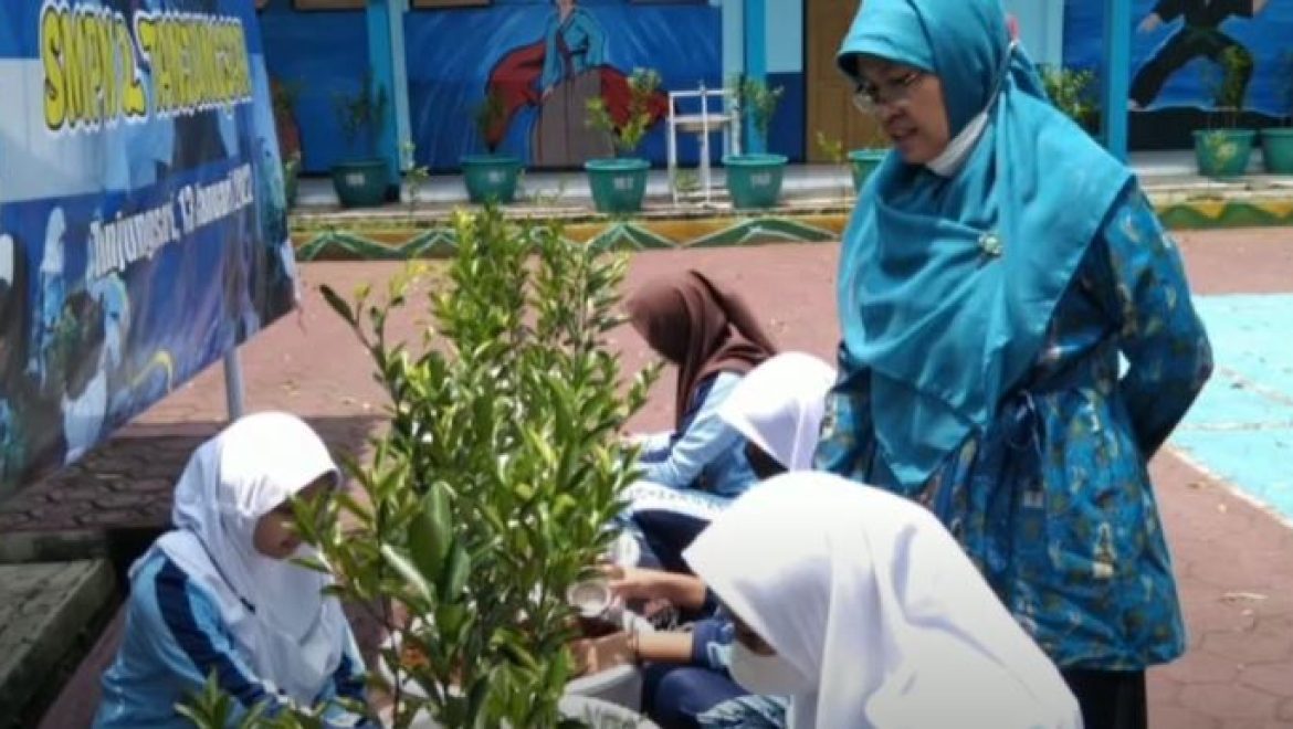 Budidaya Jeruk Santang di SMPN 2 Tanjungsari Sumedang